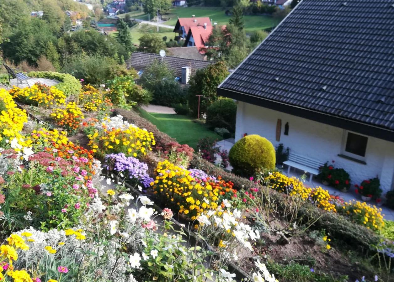 Haus Kashammer Ottenhofen im Schwarzwald Buitenkant foto