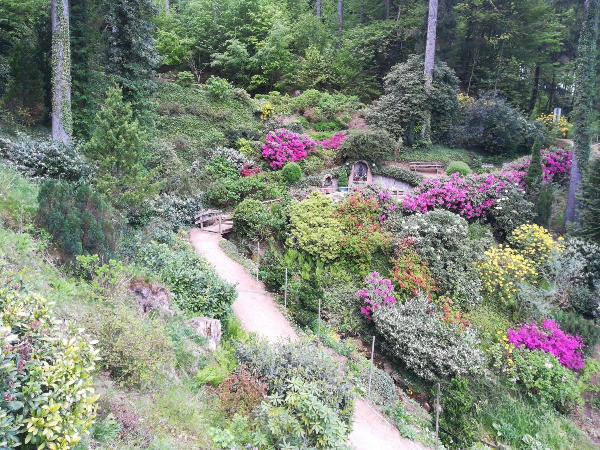 Haus Kashammer Ottenhofen im Schwarzwald Buitenkant foto